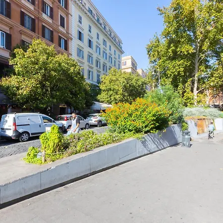Khris - Trastevere - San Cosimato * רומא